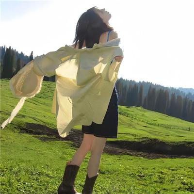 菜鸟先生